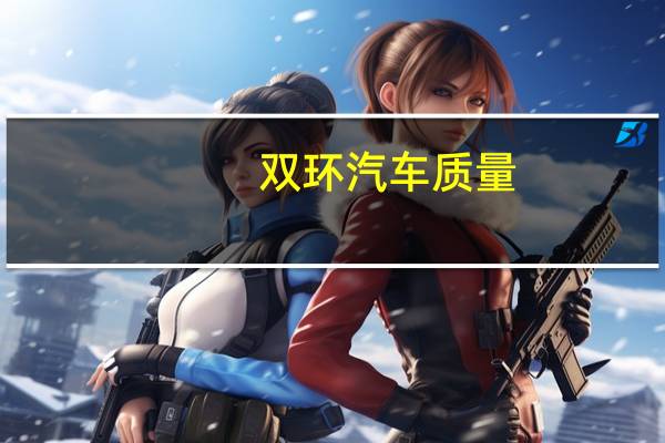 双环汽车质量