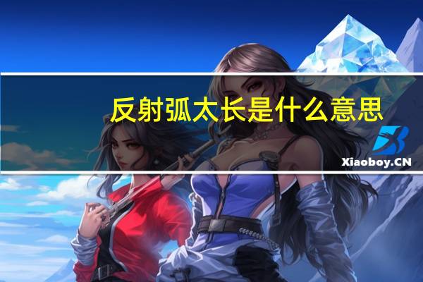反射弧太长是什么意思