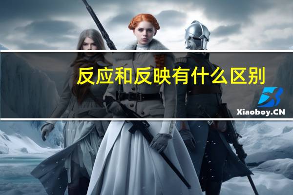 反应和反映有什么区别