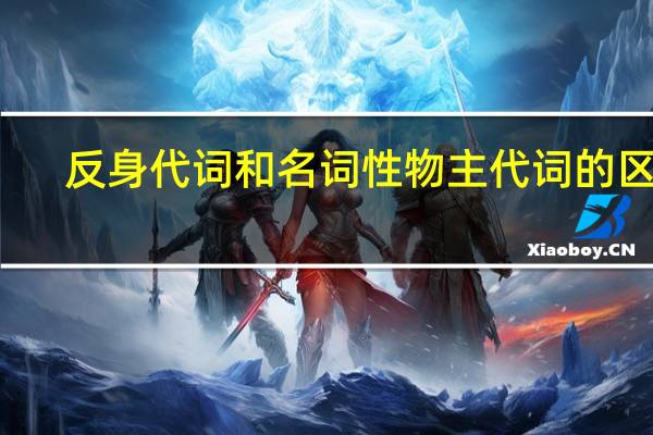 反身代词和名词性物主代词的区别