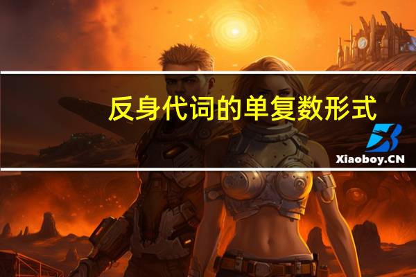 反身代词的单复数形式