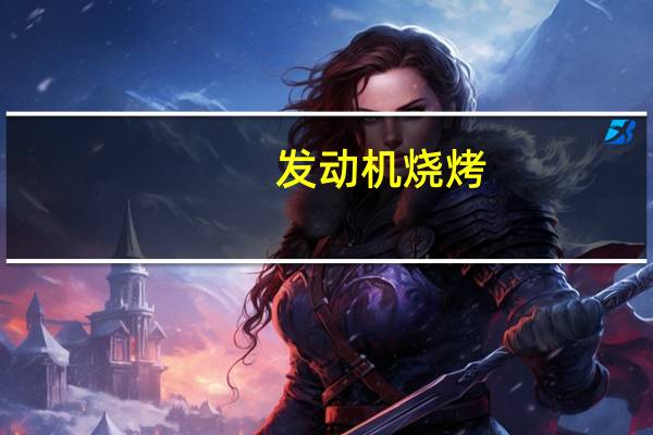 发动机烧烤