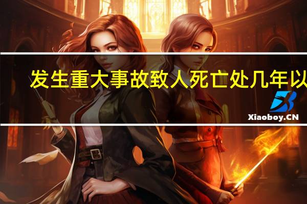发生重大事故致人死亡处几年以上