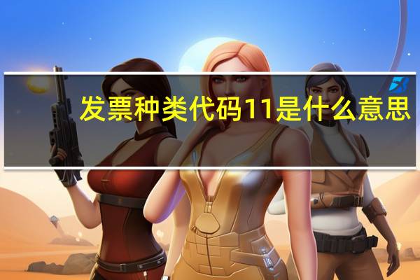发票种类代码11是什么意思