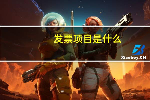 发票项目是什么