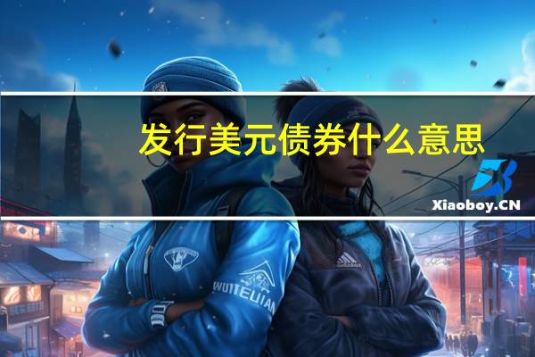 发行美元债券什么意思