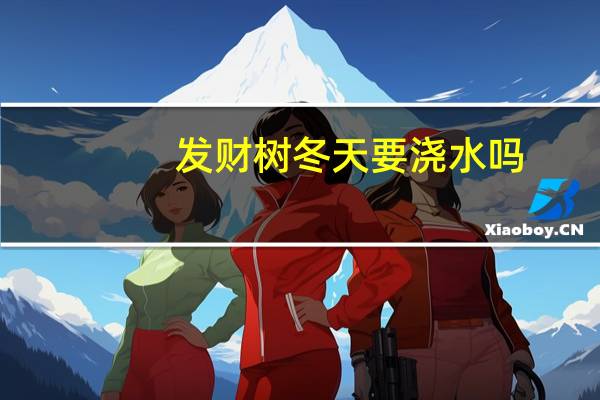发财树冬天要浇水吗