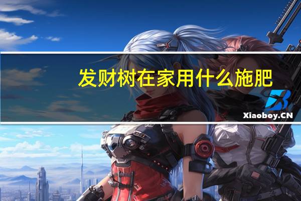 发财树在家用什么施肥