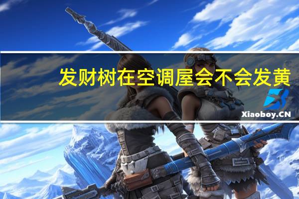 发财树在空调屋会不会发黄