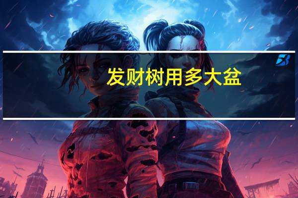 发财树用多大盆