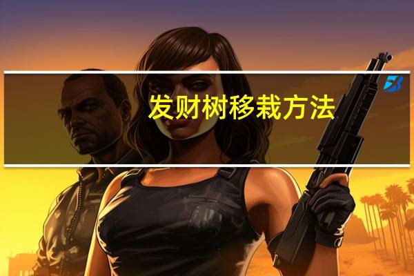 发财树移栽方法