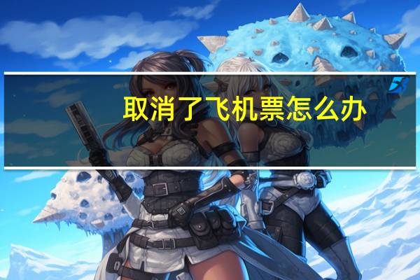 取消了飞机票怎么办