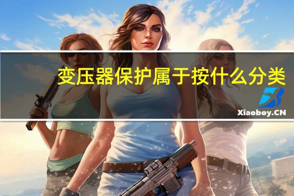 变压器保护属于按什么分类