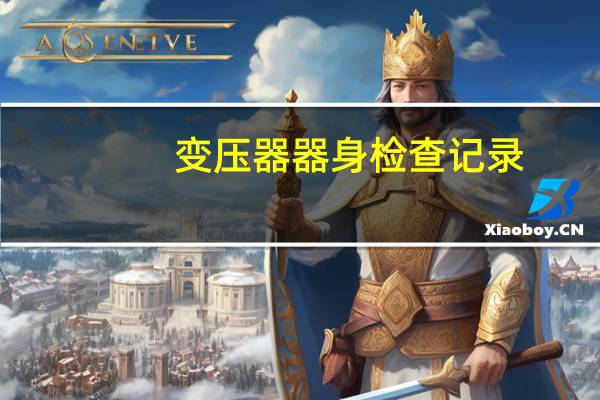 变压器器身检查记录