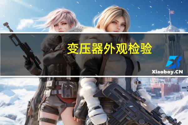 变压器外观检验