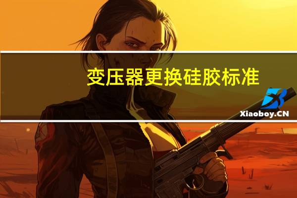 变压器更换硅胶标准