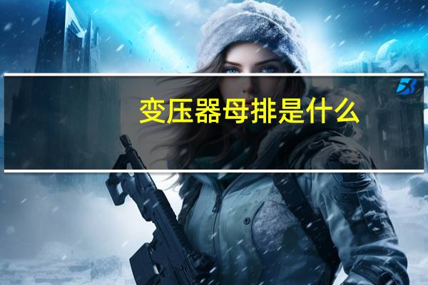 变压器母排是什么