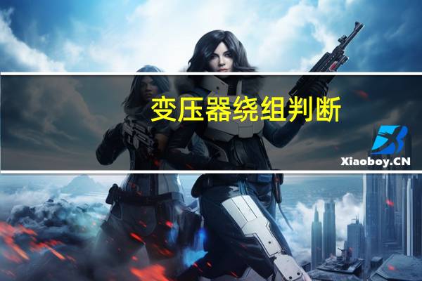 变压器绕组判断
