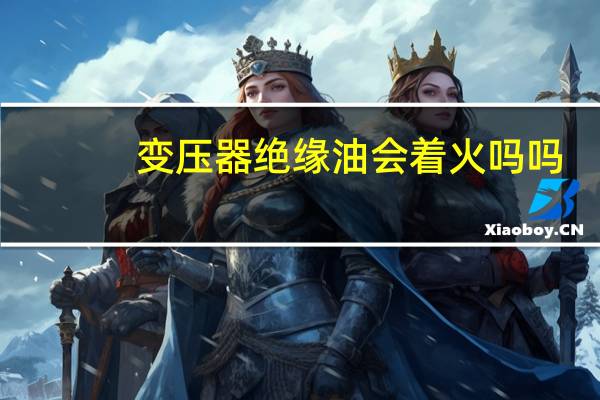 变压器绝缘油会着火吗吗