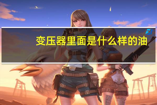 变压器里面是什么样的油