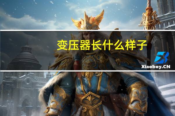 变压器长什么样子