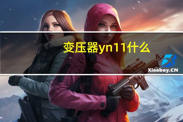 变压器yn11什么