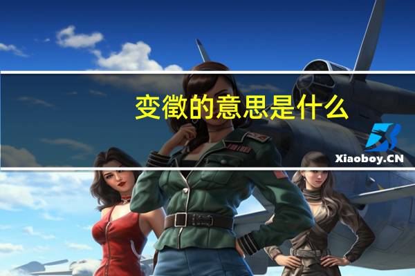 变徵的意思是什么