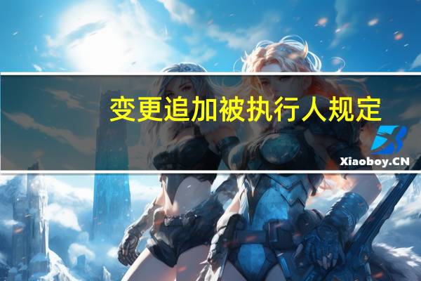变更追加被执行人规定