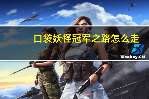 口袋妖怪冠军之路怎么走