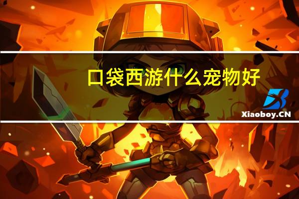 口袋西游什么宠物好