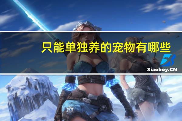 只能单独养的宠物有哪些