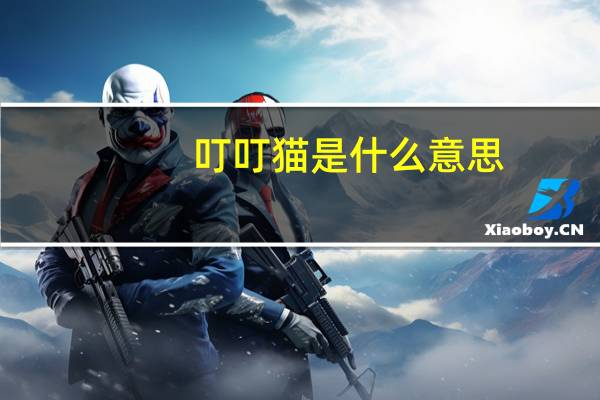 叮叮猫是什么意思