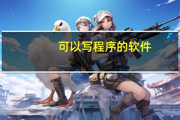 可以写程序的软件