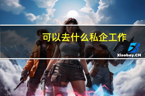 可以去什么私企工作