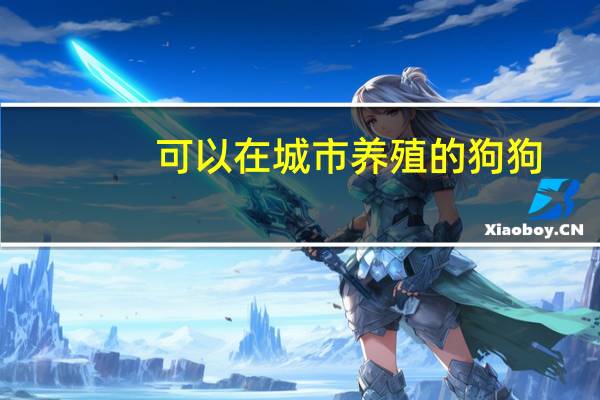 可以在城市养殖的狗狗