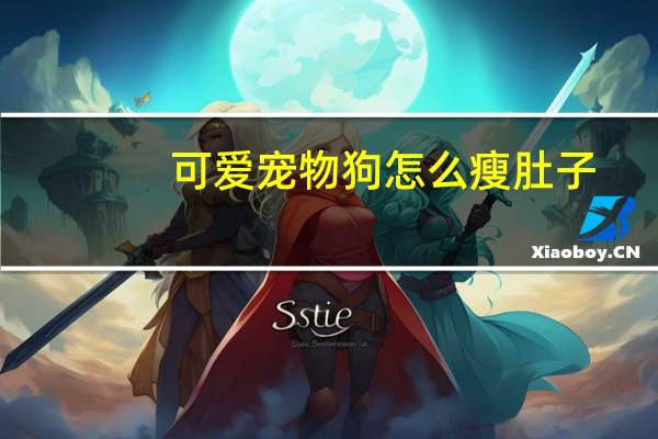 可爱宠物狗怎么瘦肚子