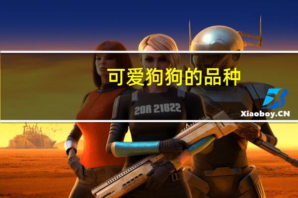 可爱狗狗的品种