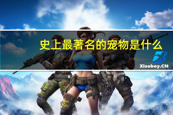 史上最著名的宠物是什么