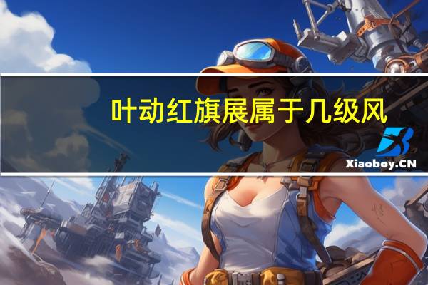 叶动红旗展属于几级风