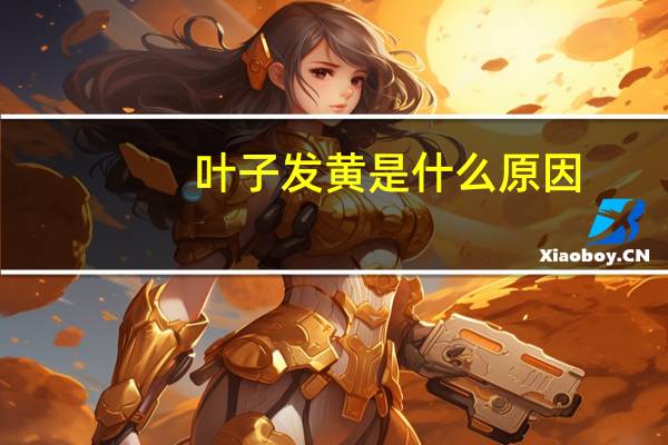 叶子发黄是什么原因