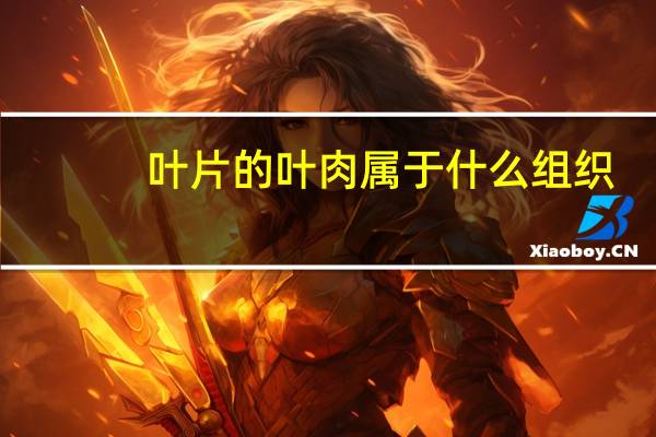 叶片的叶肉属于什么组织