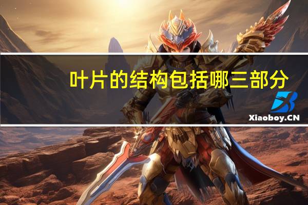 叶片的结构包括哪三部分