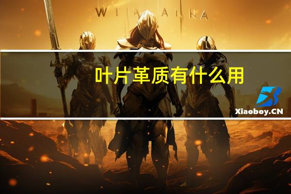 叶片革质有什么用