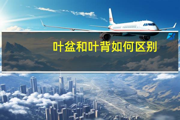 叶盆和叶背如何区别
