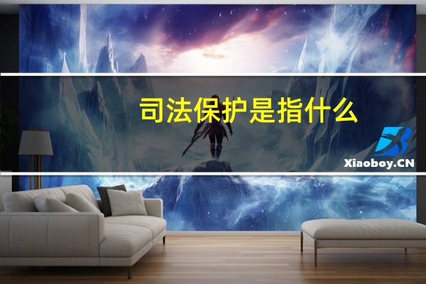 司法保护是指什么