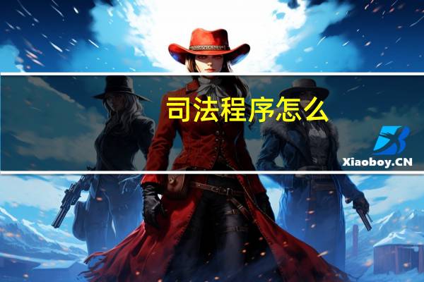 司法程序怎么