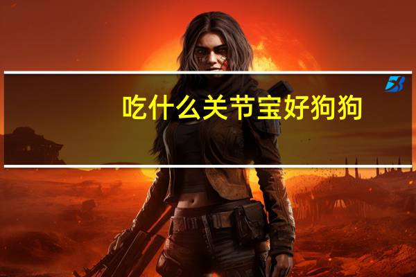 吃什么关节宝好狗狗