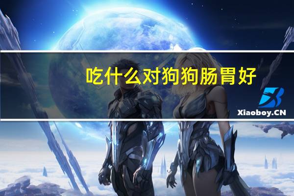 吃什么对狗狗肠胃好