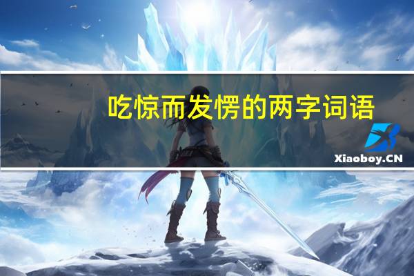 吃惊而发愣的两字词语