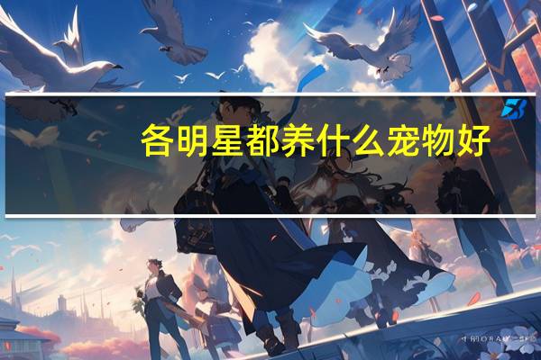各明星都养什么宠物好
